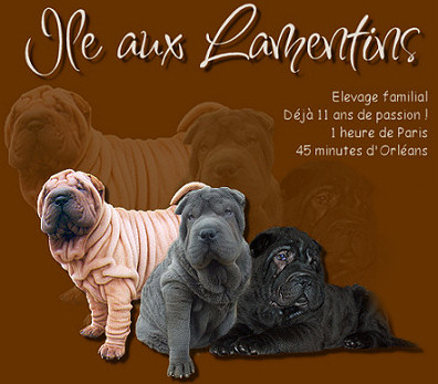 Sweet Opium, Un beau jour, Velours noir .......